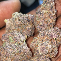 stressed to stoned iphone 12 pro mix