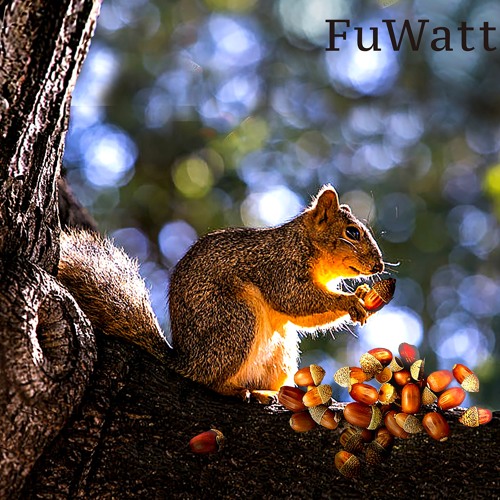 Preparing For Winter_Late Autumn Forest