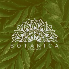 Botanica #24