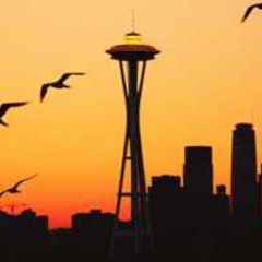 Live Life (Bossa-Jazz)