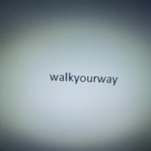 walkyourway sped up