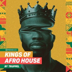 Kings Of Afro House By Truppel 🎹 Sample Pack (Keinemusik, Maz, Antdot, Ajna)
