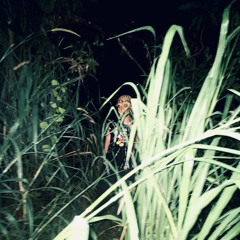 ประเทศมีกู +seasons+james+babygoal