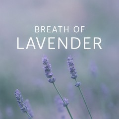 Breath of Lavender