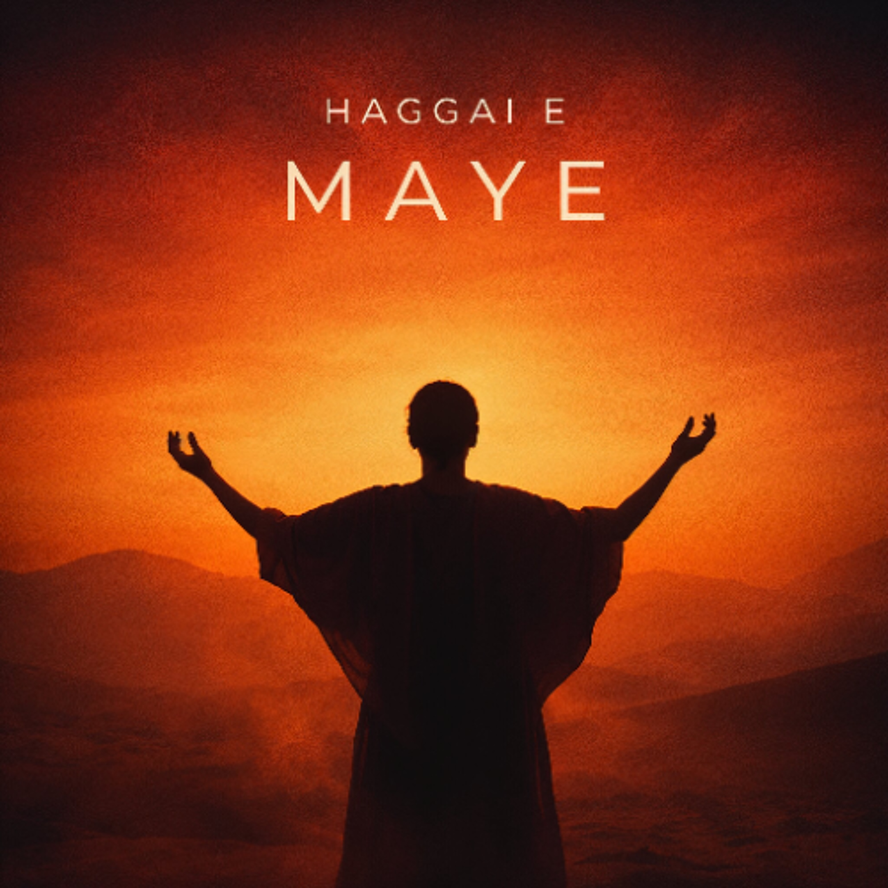 Track cover