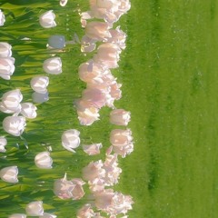 주 찬양 내 삶의 이유