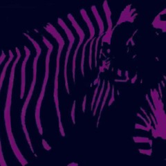 Electronic Stuff I’ve Found 7