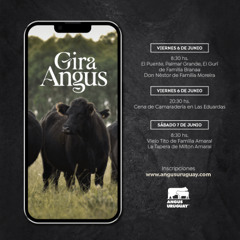 Laureano Moreira - Gira Angus