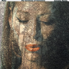 The Ceremony Of Innocence (ionnalee Remix)