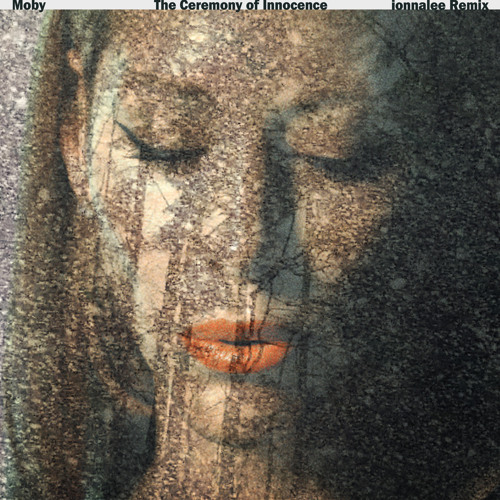 The Ceremony Of Innocence (ionnalee Remix)