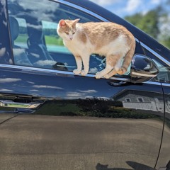 The Sound Of Silence ( is not this...)