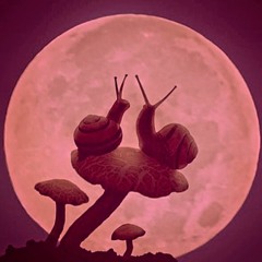 Atelier L'Escargot Full Moon Session