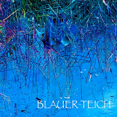 Blauer Teich IV