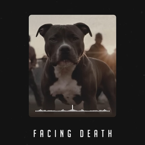 NEW 2023 - A.I. 2Pac ft. DMX - Facing Death [A.I. Voice Conversion]