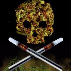 Rainbow Bele (Eli x Tech9)