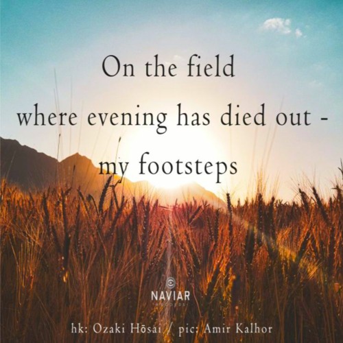 where evening has died out [naviarhaiku448]