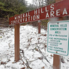 Northampton's Land Grant