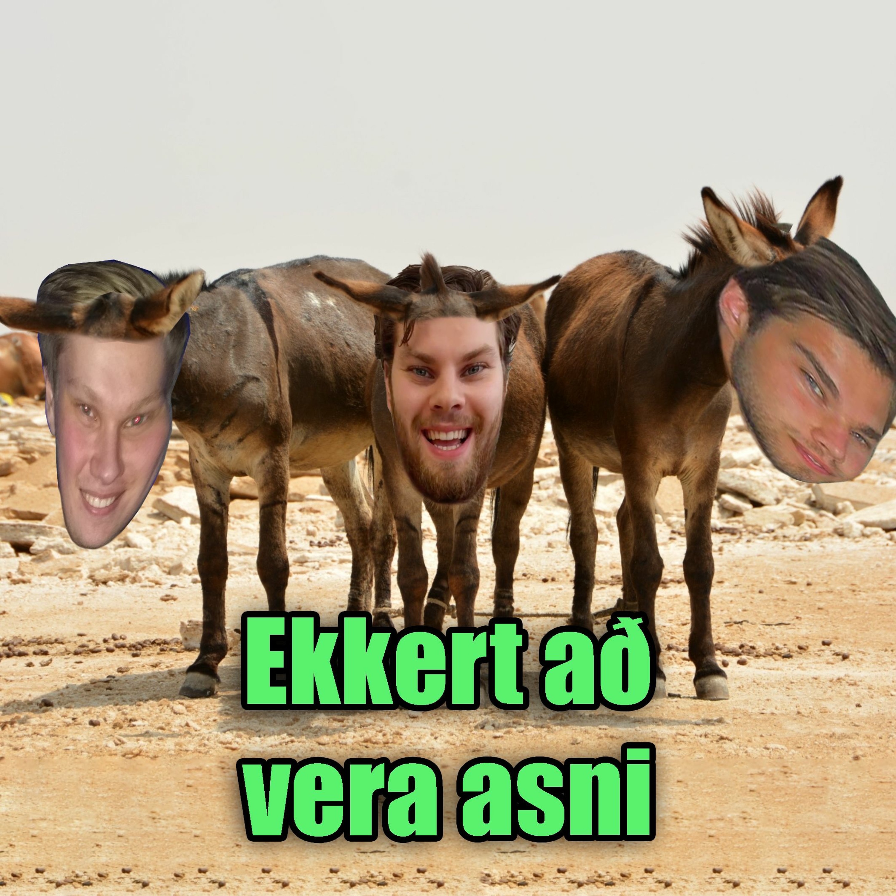 Ekkert að frétta