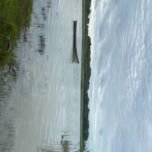 REMIX Luv Resval  Céleste by Joan