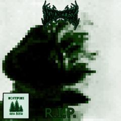 RIP_COVER