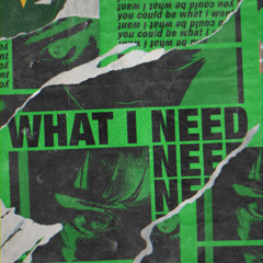 What I Need