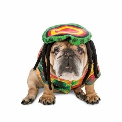 0054 - Regeka (Uhrin Benedek remix)- 2000.07.06