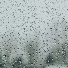Hidden From The Rain