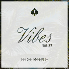 Vibes Vol.37