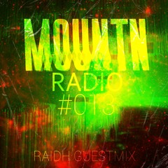 Mountn Radio #013 | RAIDH Guestmix