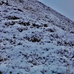 we contain multitudes (that cannot be contained) | k i t  r a d f o r d