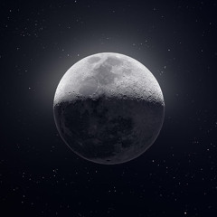 Vol. 10 - Gravitational Pull