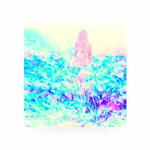 Be Nice 2 Me(shoegaze cover)