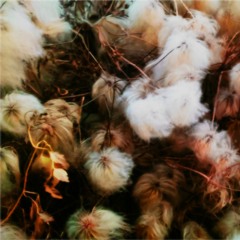 carols: intro/gust (answer key mix)