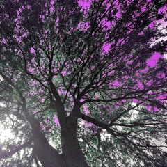 Devkenji x Kawano4x - Plan {Prod.YESOK + Teenslug}  [###B4KxK]