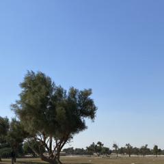 " القيض نعمه والشتا خير "