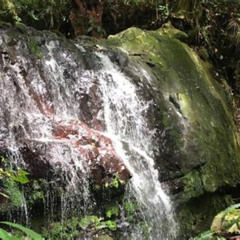 Review Special Price Fullday Rainforest And Waterfall Adventure From San Juan