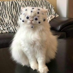 Hard Techno & Hard Bounce Mix Februar