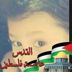 قلوب العارفين**ابو حماد **