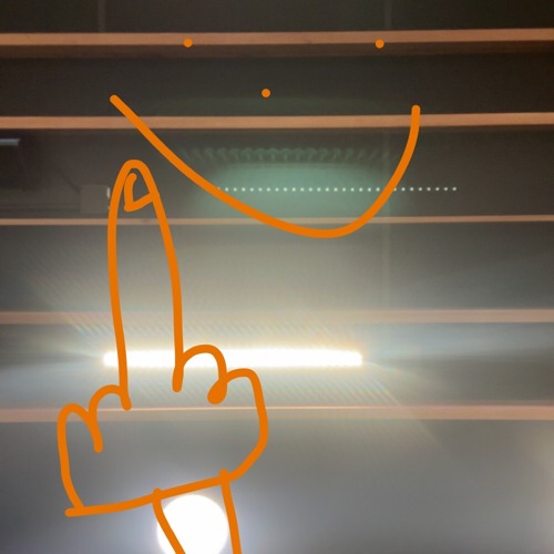 Jinsiy aloqa, porno, Kama Sutra, gey komikslari