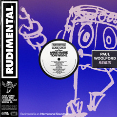 Rudimental - Come Over (feat. Anne-Marie & Tion Wayne) [Paul Woolford Remix]