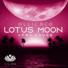 Ollie Red Live! @ Lotus Moon Gathering 5 . 5 . 2023