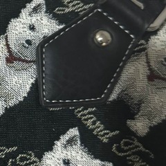 dog that doesnt bite [mag and chinapoet]