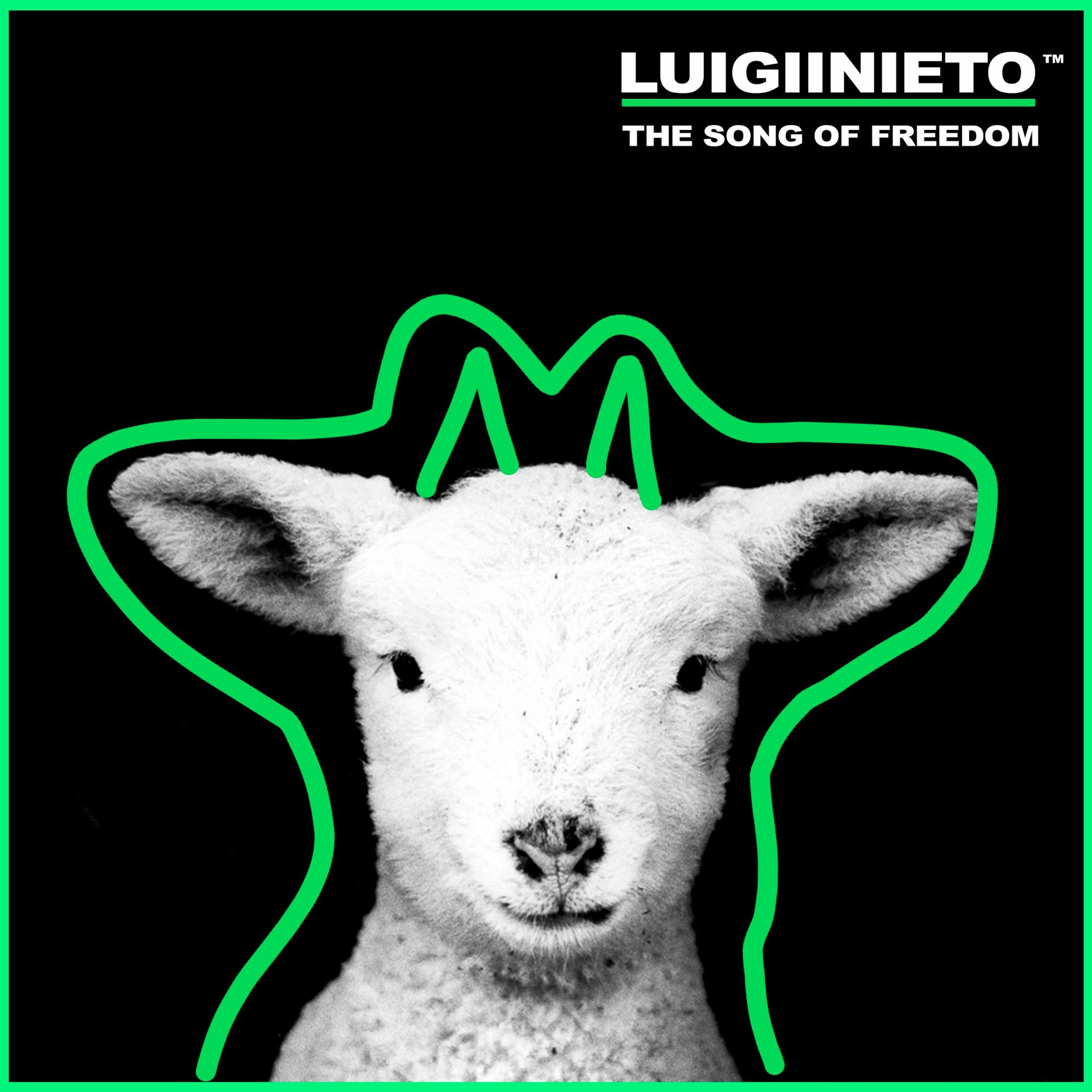 luigii nieto