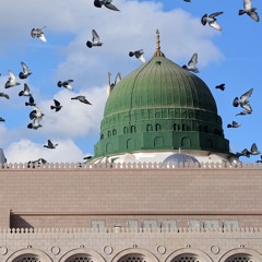 الشيخ مصطفى البحياوي | ولكنه قلب رسول الله | ❤️