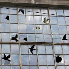 ✨frontier of consciousness✨