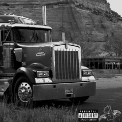 DEMOCRAT TRUCKING