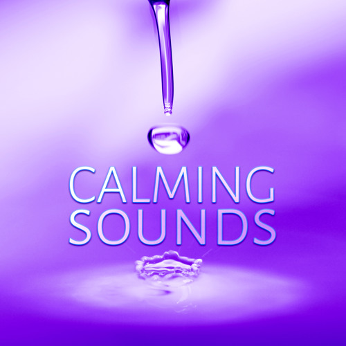 Stream Calming Sounds by Calm Sea Ambient | Listen online for free on ...