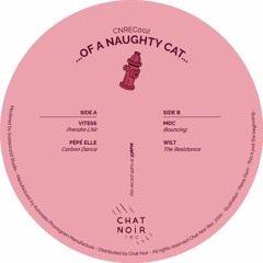 Various Artists - ... Of A Naughty Cat... (CNREC002)