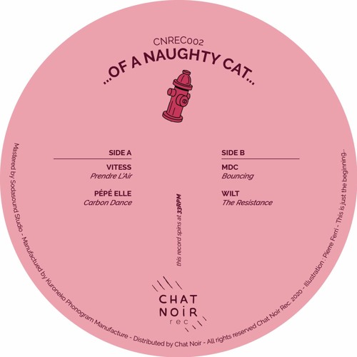 Various Artists - ... Of A Naughty Cat... (CNREC002)
