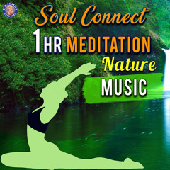 Nature - Soul Connect - Meditation Music